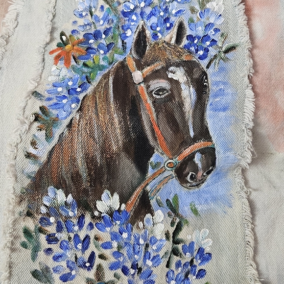 One of a kind distressed hand painted Texas vest - Picture 3 of 12